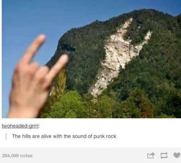 tumblr - metal mountain - twoheadedgrrrl The hills are alive with the sound of punk rock 254,089 notes
