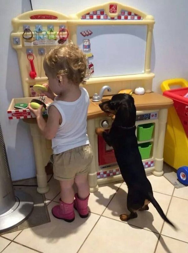 kids and dogs make amazing friends