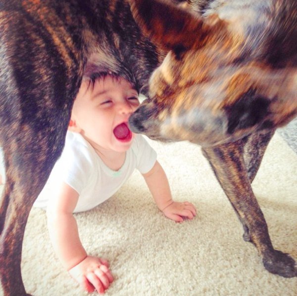 kids and dogs make amazing friends