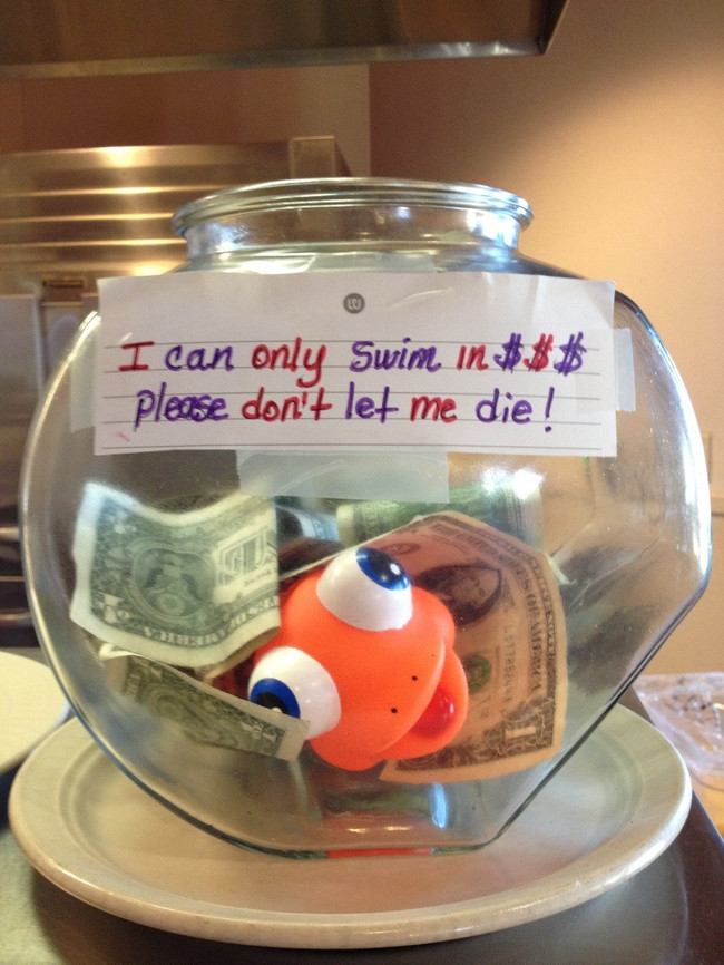 tip jars - I can only Swim in please don't let me die! Lrs