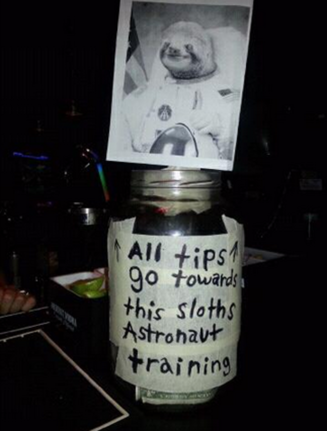 funny bartender tip jars - All tips go towards this sloths Astronaut training