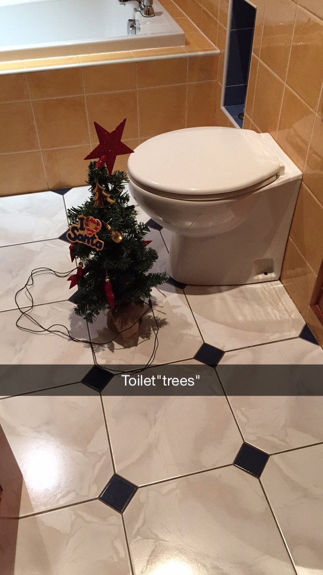 christmas puns - christmas bathroom puns - Toilet"trees"