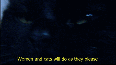 cat and women - Women and cats will do as they please