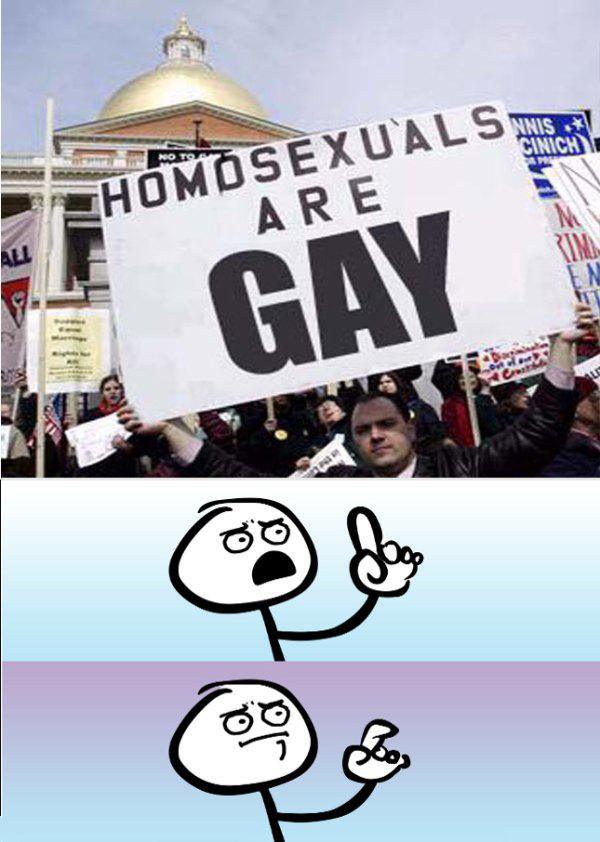 homosexuals are gay meme