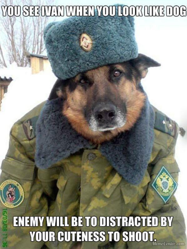 russian dog with hat - You See Ivan When You Look Dog Senemy Will Be To Distracted By Your Cuteness To Shoot. 160308 MemeCenter.com
