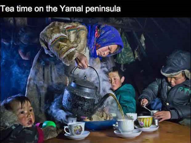 yamal peninsula tea - Tea time on the Yamal peninsula