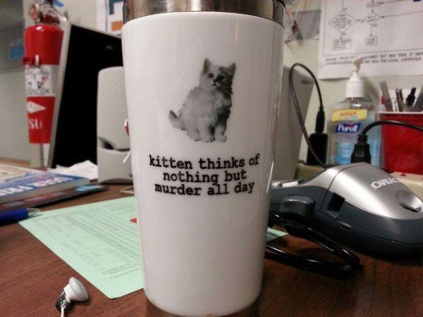 cup - kitten thinks of nothing but murder all day