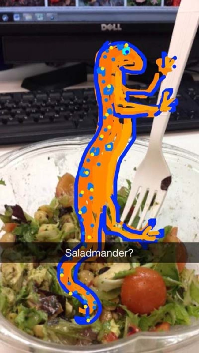 21 snapchats that are too good to disappear forever