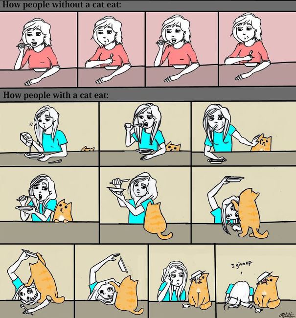 35 examples of cat logic