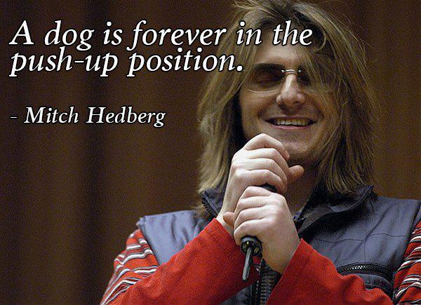 mitch hedberg quotes - A dog is forever in the pushup position. Mitch Hedberg Ver