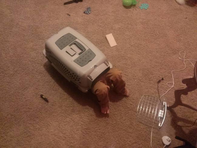 24 kids who forgot they're not animals