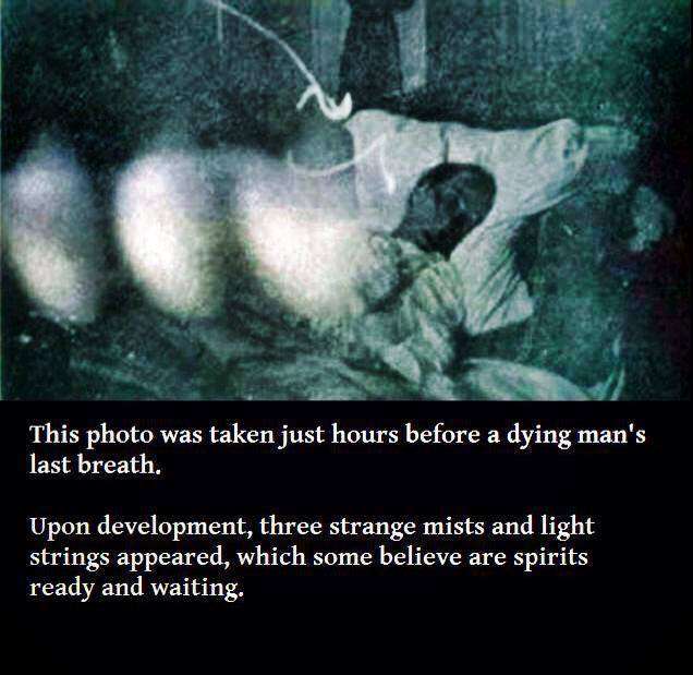 creepy pictures with stories - This photo was taken just hours before a dying man's last breath. Upon development, three strange mists and light strings appeared, which some believe are spirits ready and waiting.