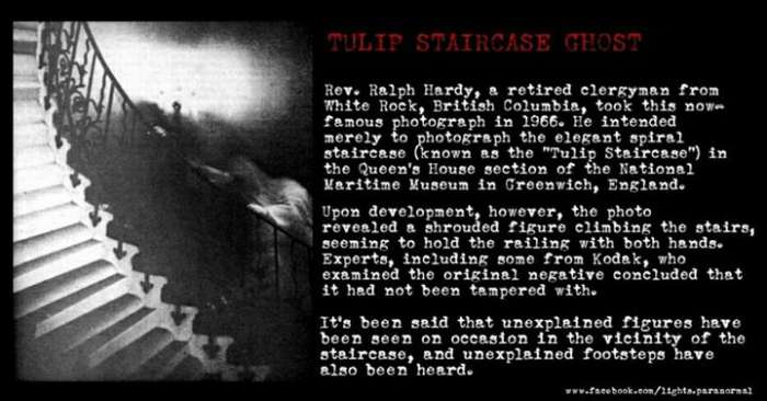 tulip staircase ghost 1966 - Tulip Staircase Ghost Rev. Ralph Hardy, a retired clergyman from White Rock, British Columbia, took this now Famous photograph in 1966. He intended merely to photograph the elegant spiral staircase known as the "Tulip Staircas