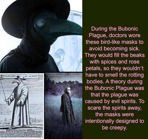 plague doctor mask - During the Bubonic Plague, doctors wore these bird masks to avoid becoming sick. They would fill the beaks with spices and rose petals, so they wouldn't have to smell the rotting bodies. A theory during the Bubonic Plague was that the