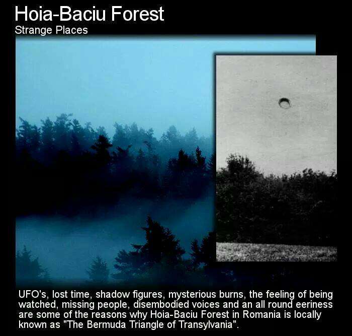sky - HoiaBaciu Forest Strange Places Ufo's, lost time, shadow figures, mysterious burns, the feeling of being watched, missing people, disembodied voices and an all round eeriness are some of the reasons why HoiaBaciu Forest in Romania is locally known a