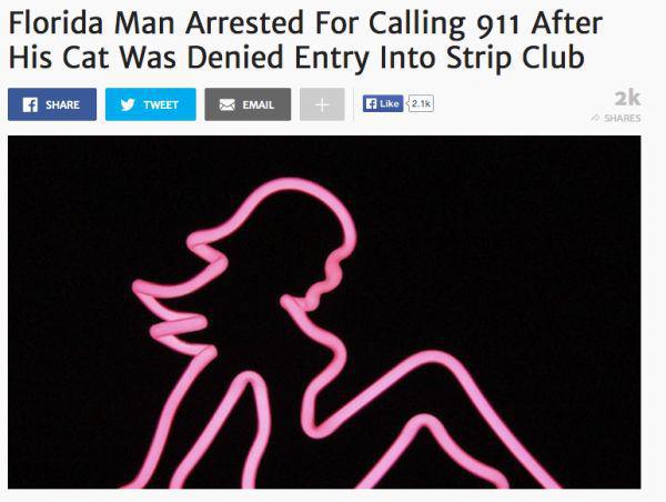 strip club backgrounds - Florida Man Arrested For Calling 911 After His Cat Was Denied Entry Into Strip Club T Weet 2. Email