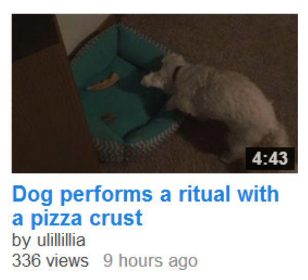 pet - Dog performs a ritual with a pizza crust by ulillillia 336 views 9 hours ago