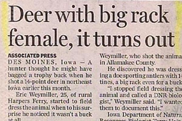 Headline - Deer with big rack female, it turns out Associated Press Wcymiller, who shot the anima Des Moines, Iowa A in Allamakee County hunter thought he might have He discovered he was dress bagged a trophy buck when he ing a docsportingantlers with 1 s
