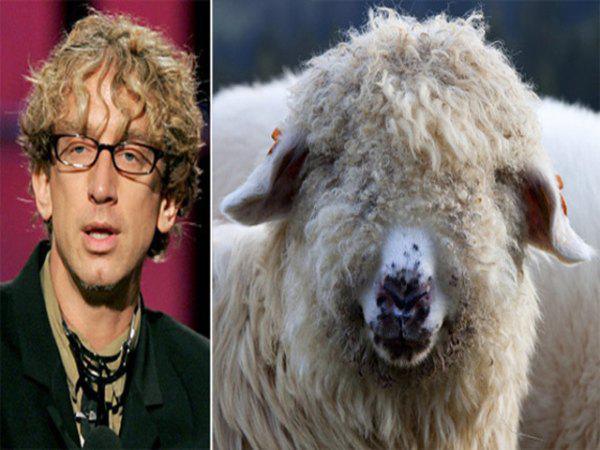 celebrities that look like sheep -