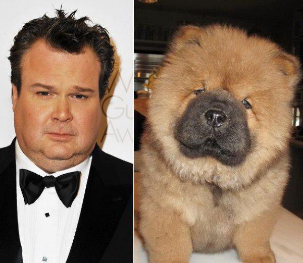 celebs that look like animals