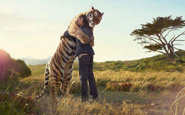 32 animal hugs