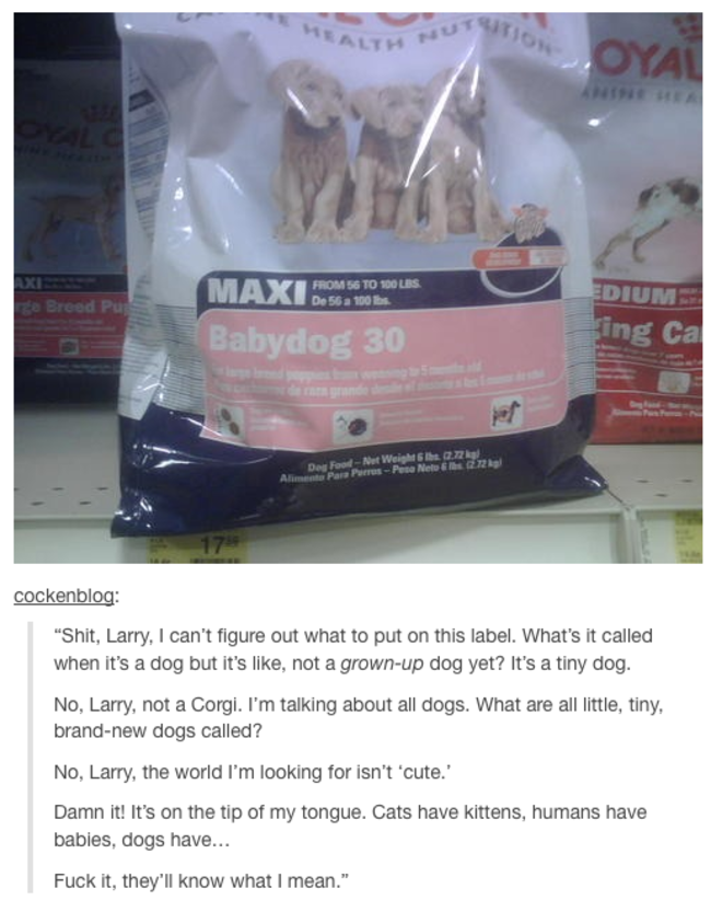 tumblr - baby dog tumblr post - Oyal Maximid Dium Babydog 30 ing Ca cockenblog "Shit, Larry, I can't figure out what to put on this label. What's it called when it's a dog but it's , not a grownup dog yet? It's a tiny dog. No, Larry, not a Corgi. I'm talk