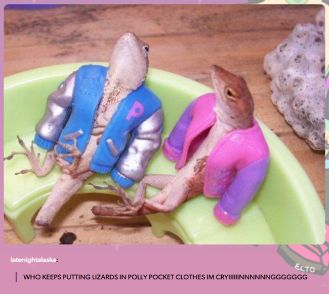 tumblr - lizards in polly pocket clothes - latenightalaska Who Keeps Putting Lizards In Polly Pocket Clothes Im Cryliinnnnnnggggggg Ecto