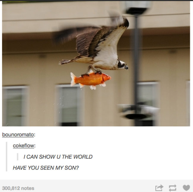 tumblr - can show you the world meme - bounoromato cokeflow I Can Show U The World Have You Seen My Son? 300,812 notes