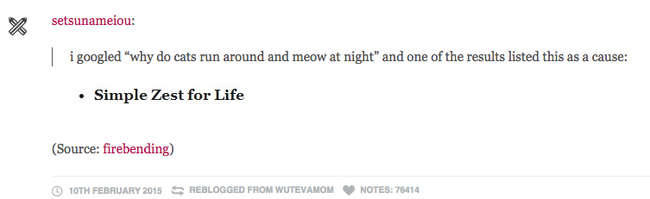 tumblr - document - y setsunameiou i googled "why do cats run around and meow at night" and one of the results listed this as a cause Simple Zest for Life Source firebending 10TH Reblogged From Wutevamom Notes 76414