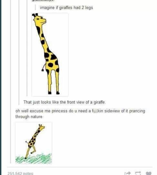 tumblr - giraffe with two legs - imagine if giraffes had 2 legs That just looks the front view of a giraffe oh well excuse me princess do u need a fkin sideview of it prancing through nature 251 542 notes