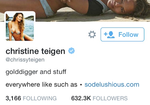 19 Celebrities Who Got Their Twitter Bio Exactly Right