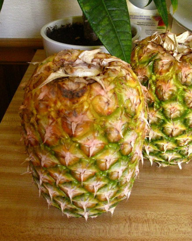 Store pineapple upside down. Speeds ripening process by forcing sugars to flow to the top. Just be sure to pluck top leaves first.