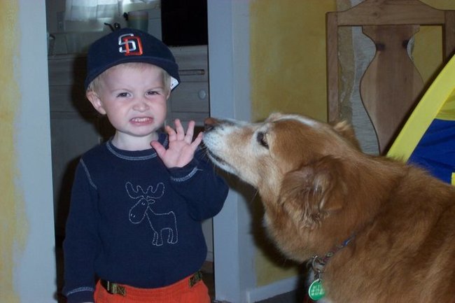 You may not admit it, but at some point you've had to choose between using a napkin to wipe the food off your hands and letting your dog lick them clean, and you chose the dog.