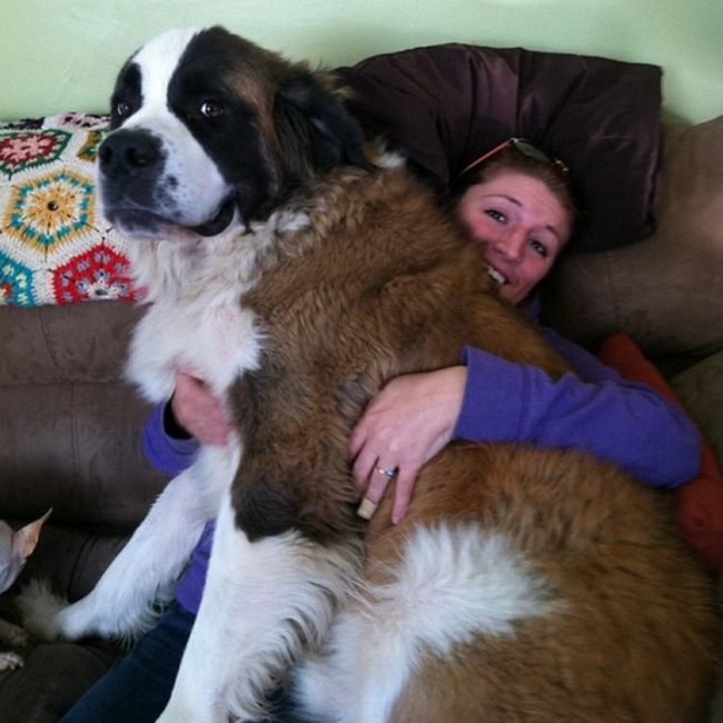 Moved to a different chair because your dog looked so comfortable you didn't want to disturb him, even though if you did he would be back asleep in minutes.