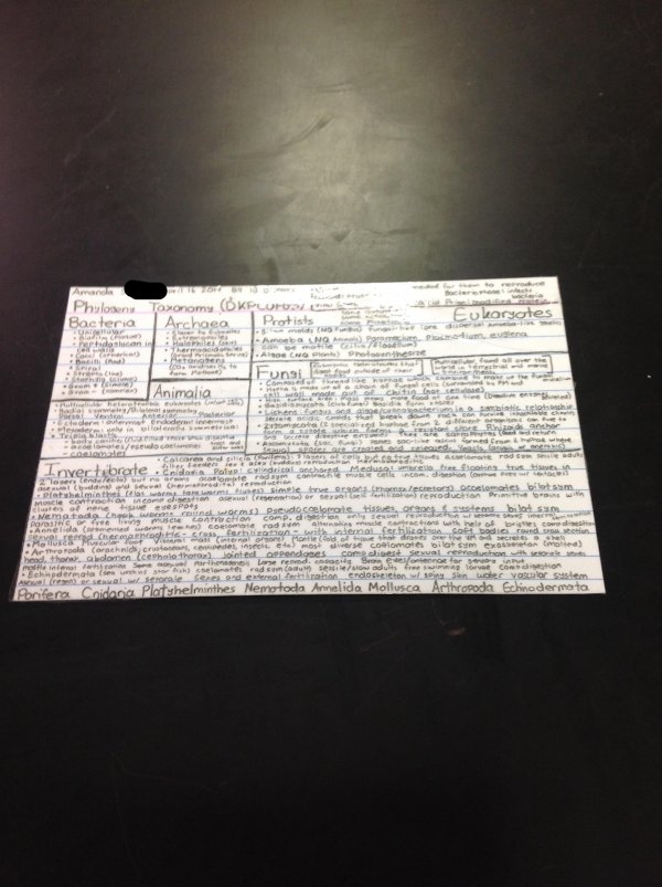 20 Students Who Hacked The One Notecard Rule