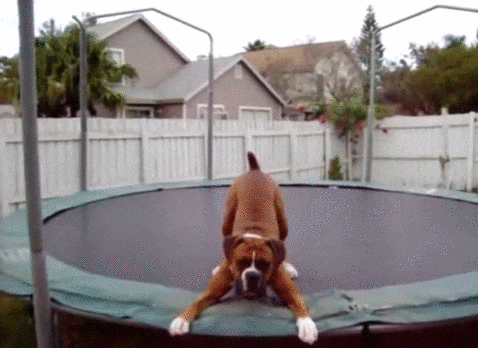 Jumping on trampolines