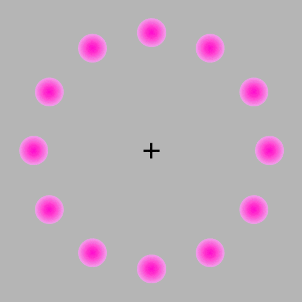 Similarly, stare at the cross in the center and watch the blank spot.