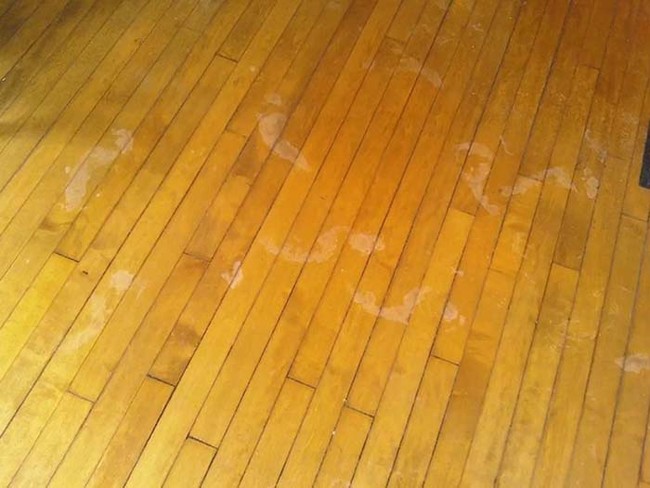 The Mitten Brewing Company in Grand Rapids, Michigan, has been dealing with a strange haunting at their historic location for years. Workers there claim that the ghostly footprints of children continue to appear on the wooden floors (as you can see in the picture above). The freakiest footprint story happened during a renovation of part of the property. After a wall was torn down, the footprint of a small child was visible on a piece of wood behind the wall. It was the first time that wood had seen daylight in 127 years.