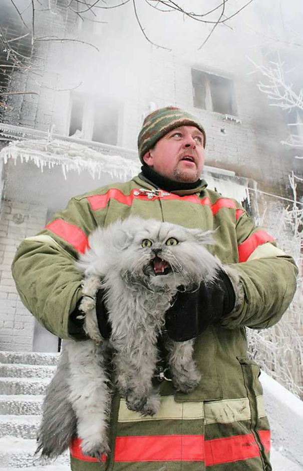 Russian Firefighter Saving A Cat