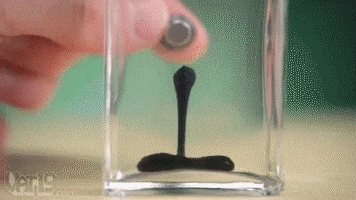 16 Magnet GIFs That Prove Magic Is Real