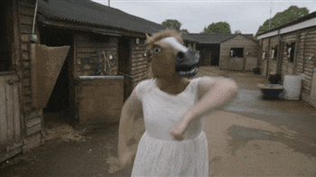 horse mask gif