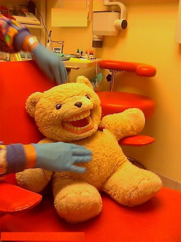 dentist teddy bear