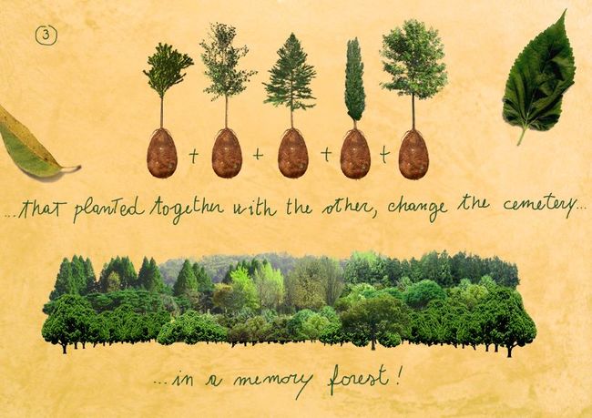 These Burial Pods Let You Turn Into A Tree When You Die