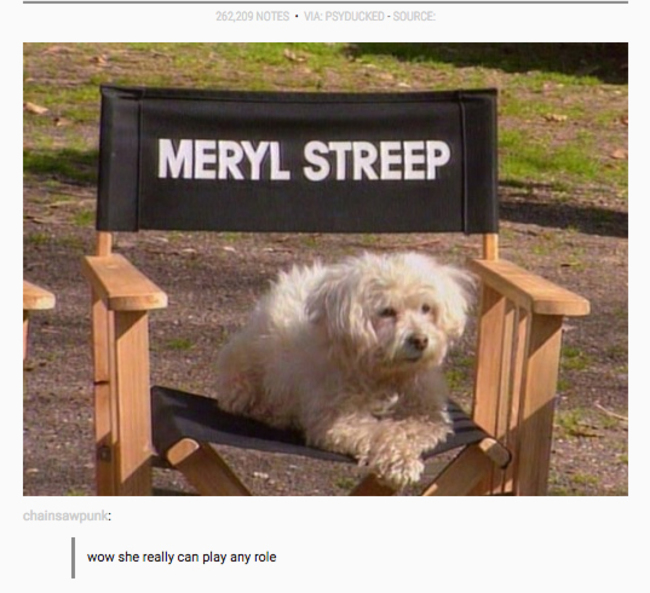 tumblr - meryl streep dog chair - 262,209 Notes . Via Psyducked Source Meryl Streep chainsawpunk wow she really can play any role
