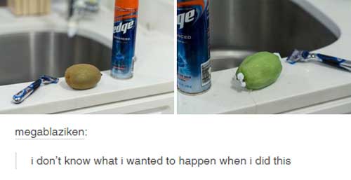27 Tumblr Photo Comments That Are Just Perfect