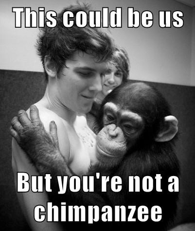 zack merrick dear maria - This could be us But you're not a chimpanzee