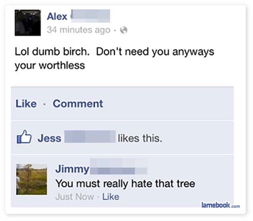 facebook statuses - Alex 34 minutes ago . Lol dumb birch. Don't need you anyways your worthless Comment Jess this. Jimmy You must really hate that tree Just Now lamebook.com