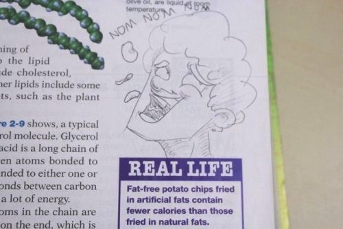 21 Times Textbook Doodles Made Learning Better