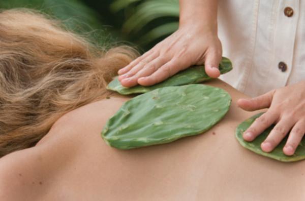 In Mexico, many resorts are now offering Hakali cactus massages.