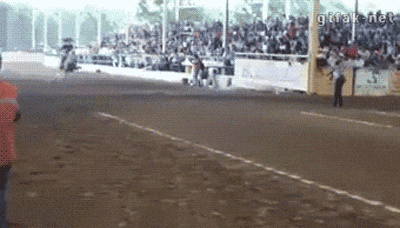 11 gifs with surprise endings